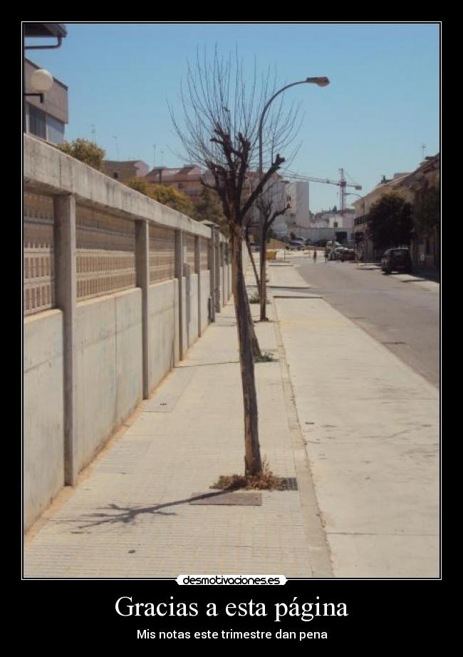 carteles notas desmotivaciones