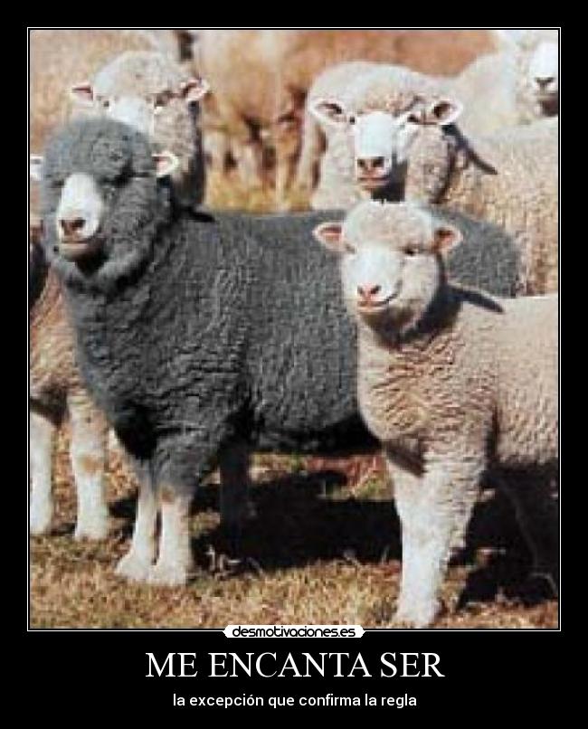 ME ENCANTA SER - la excepción que confirma la regla