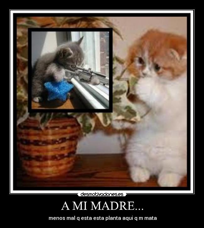 A MI MADRE... - menos mal q esta esta planta aqui q m mata