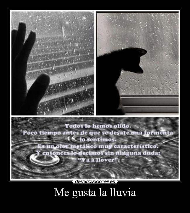 Me gusta la lluvia - 