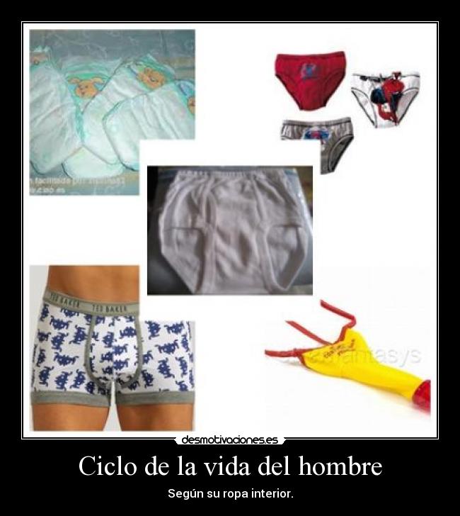 Ciclo de la vida del hombre -