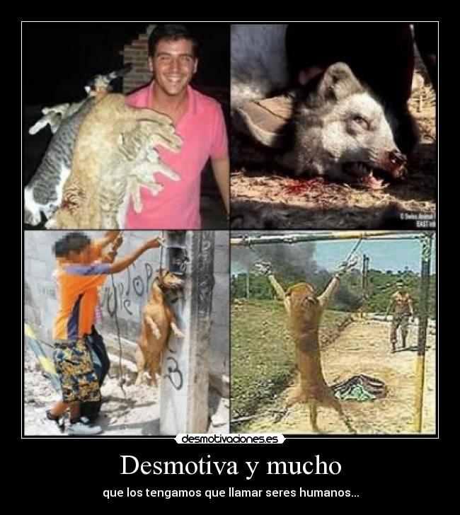 Desmotiva y mucho - 