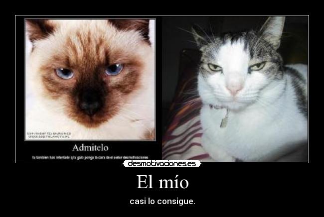 El mío - casi lo consigue.