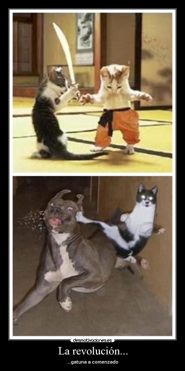 carteles annet desmotivaciones