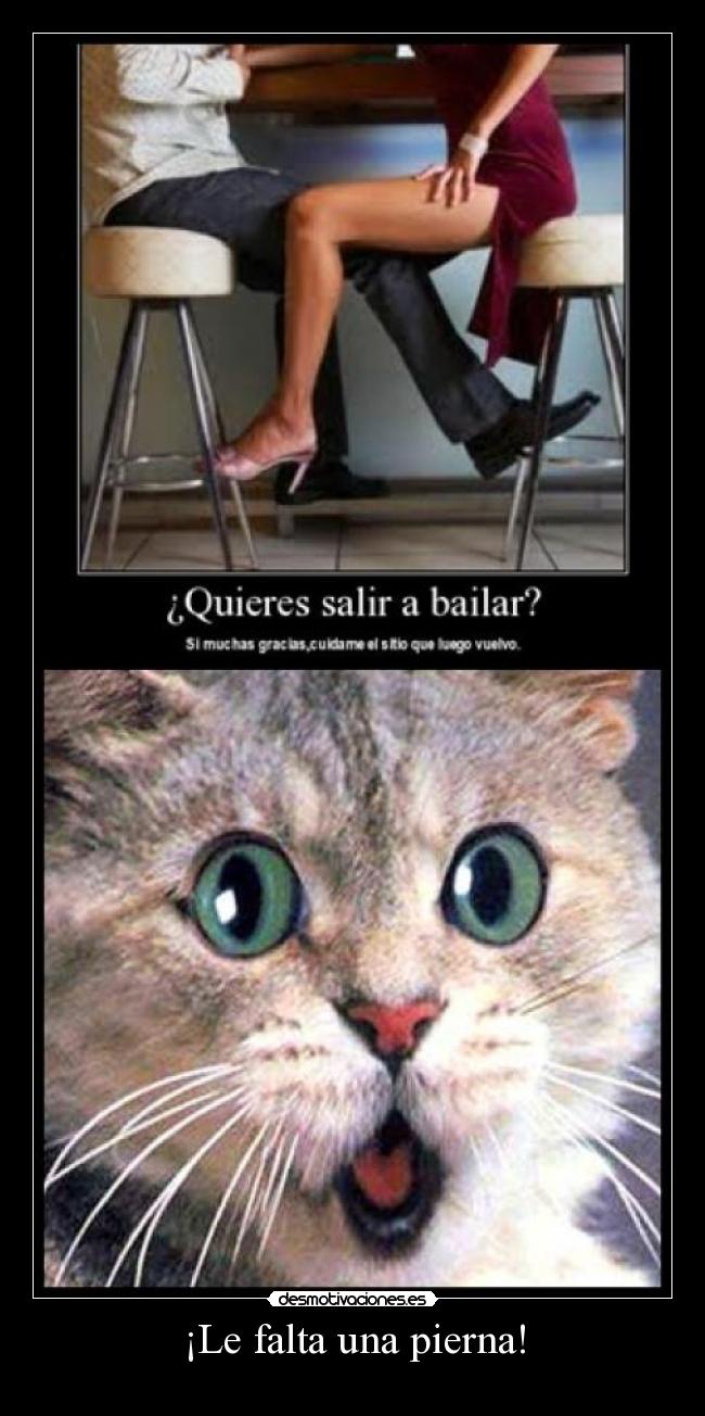 ¡Le falta una pierna! - 