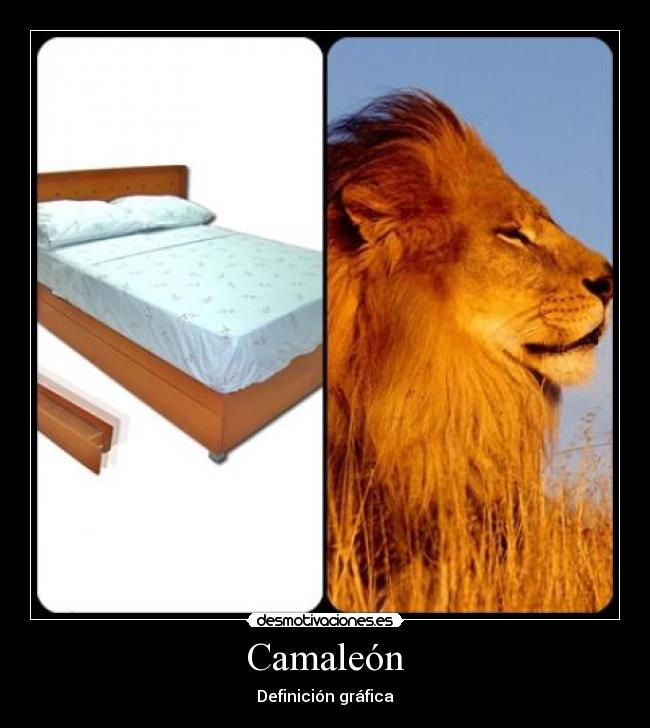 Camaleón - 