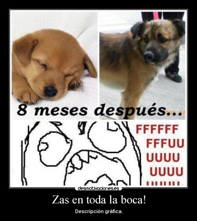 Zas en toda la boca! -