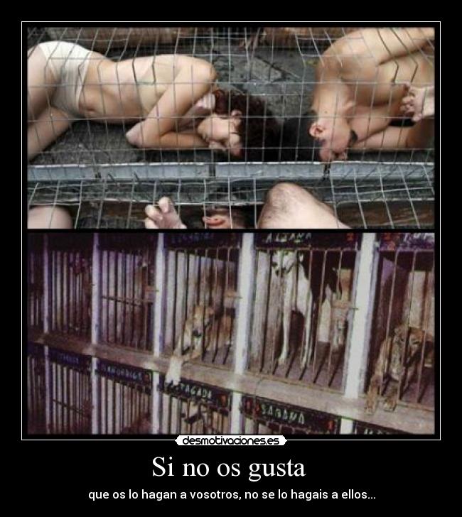 Si no os gusta - que os lo hagan a vosotros, no se lo hagais a ellos...