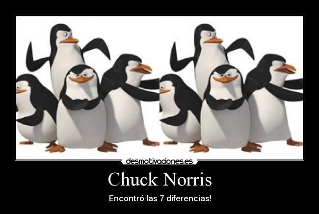 Chuck Norris - Encontró las 7 diferencias!