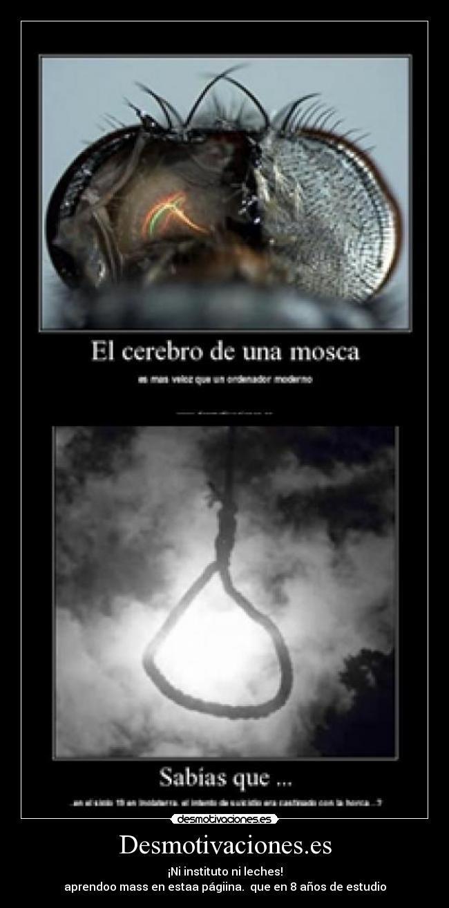 Desmotivaciones.es - ¡Ni instituto ni leches!
aprendoo mass en estaa págiina. que en 8 años de estudio