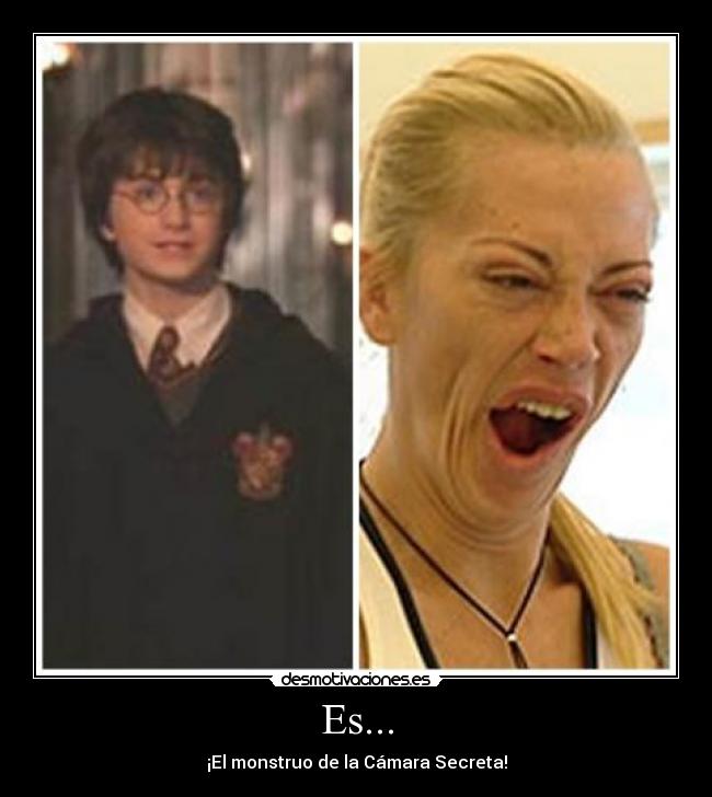 Es... - ¡El monstruo de la Cámara Secreta!