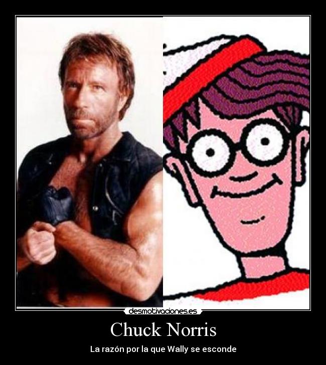 carteles chuck norris desmotivaciones