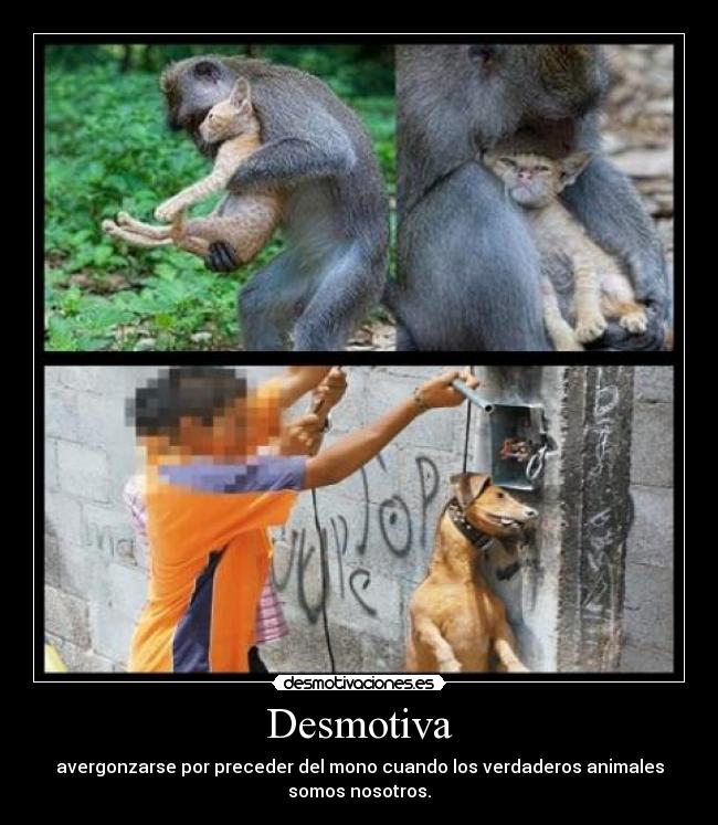 Desmotiva -
