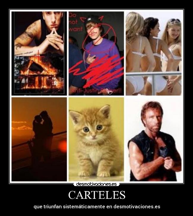 CARTELES - que triunfan sistemáticamente en desmotivaciones.es