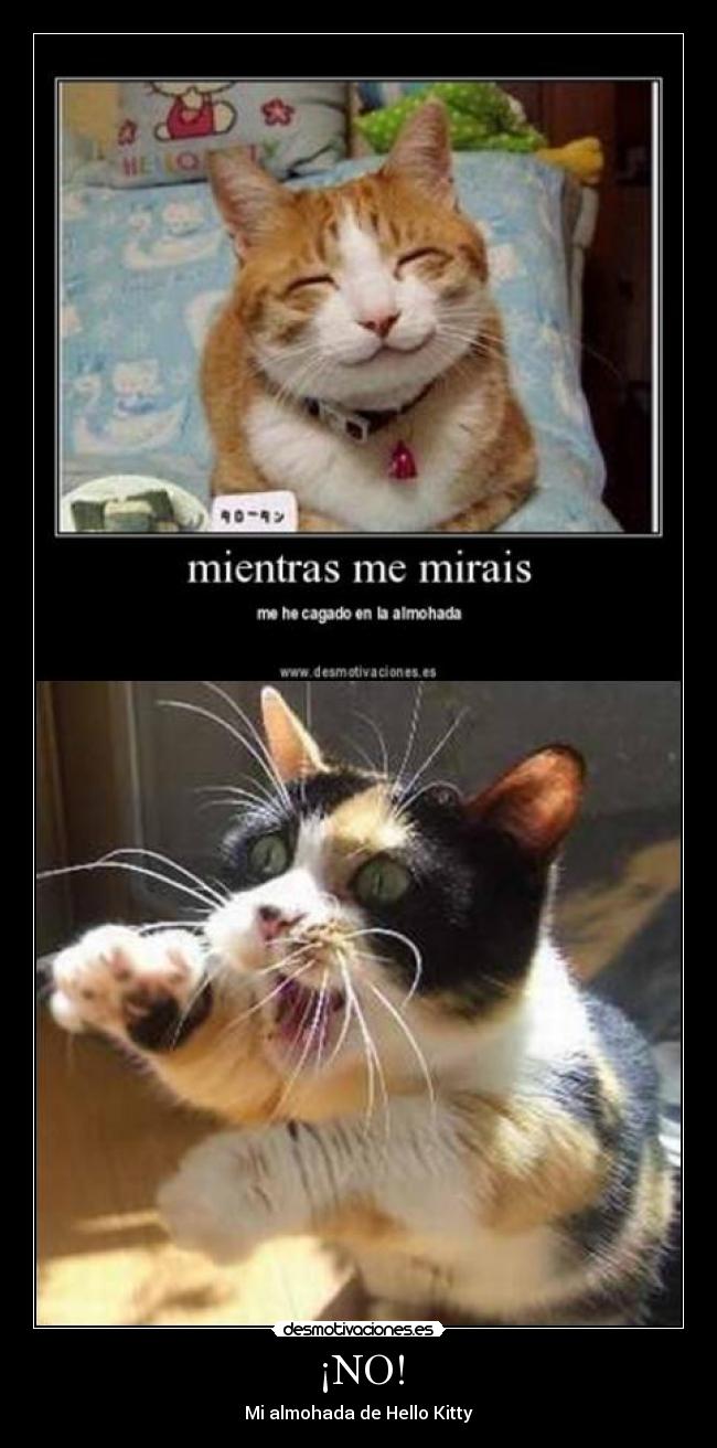¡NO! - Mi almohada de Hello Kitty