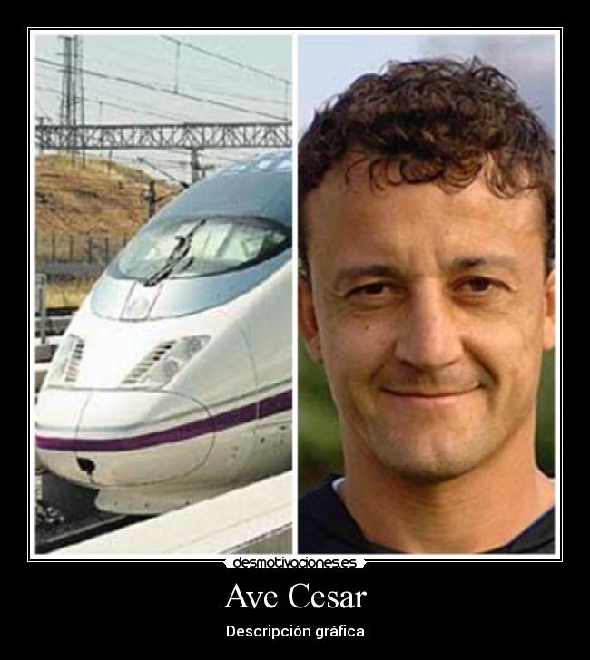 Ave Cesar - Descripción gráfica