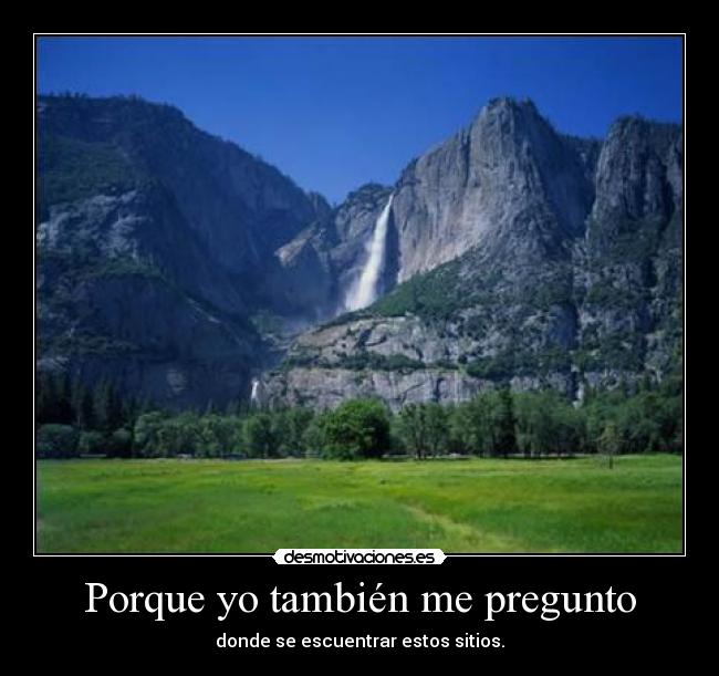 Porque yo también me pregunto - 