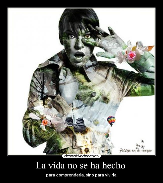 La vida no se ha hecho -