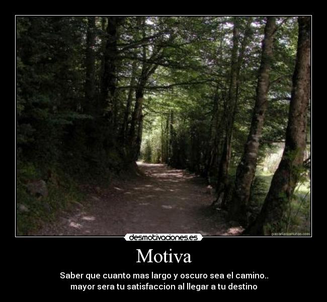 carteles leti desmotivaciones