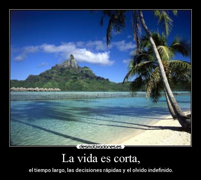 La vida es corta, -