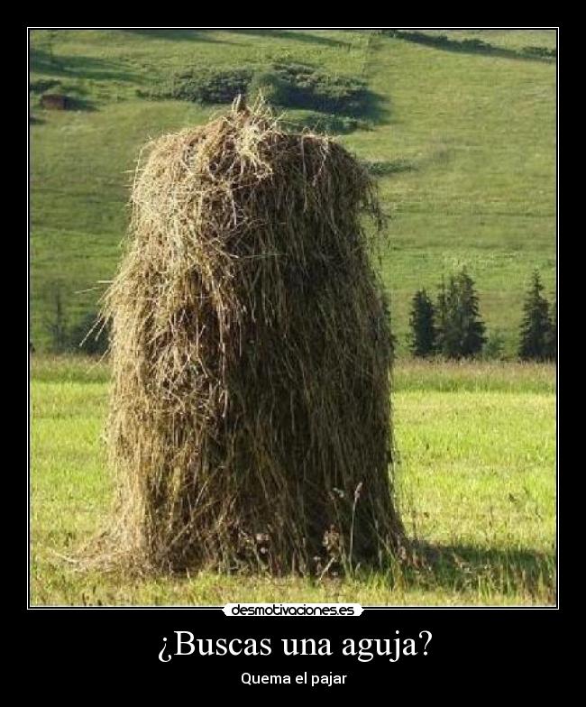 ¿Buscas una aguja? -