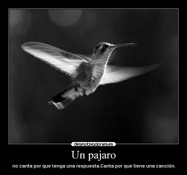 Un pajaro - no canta por que tenga una respuesta.Canta por que tiene una canción.