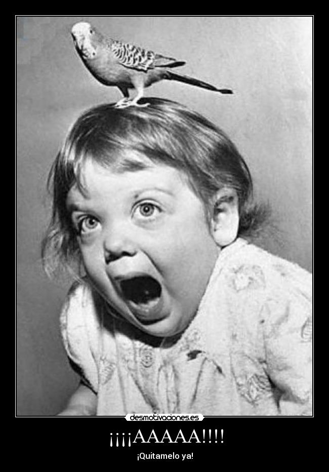 ¡¡¡¡AAAAA!!!! -