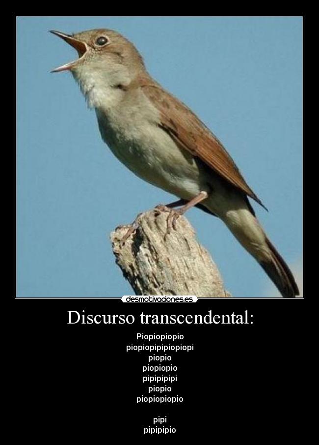 Discurso transcendental: - Piopiopiopio
piopiopipipiopiopi
piopio
piopiopio
pipipipipi
piopio
piopiopiopio
pipi
pipipipio