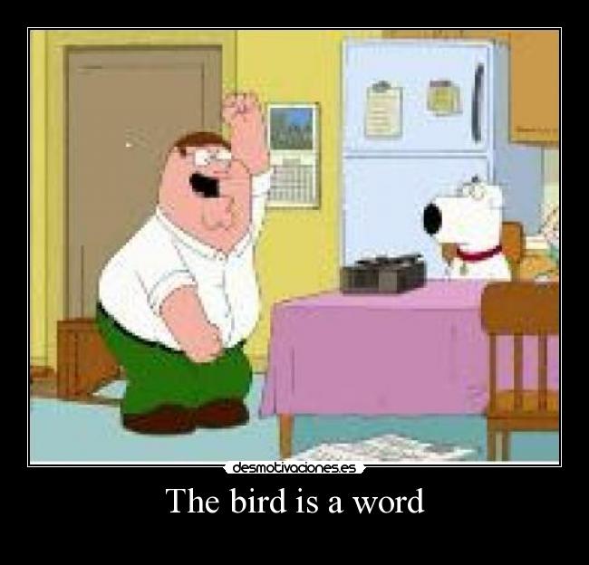 The bird is a word - 