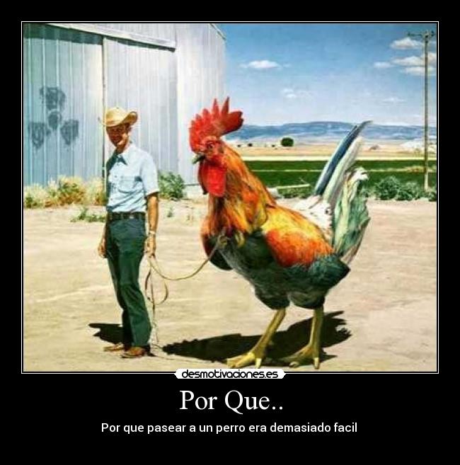 Por Que.. - Por que pasear a un perro era demasiado facil