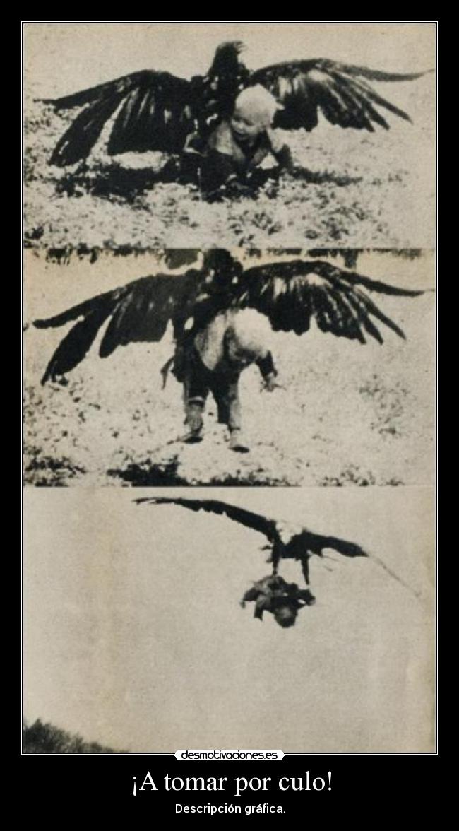 ¡A tomar por culo! -