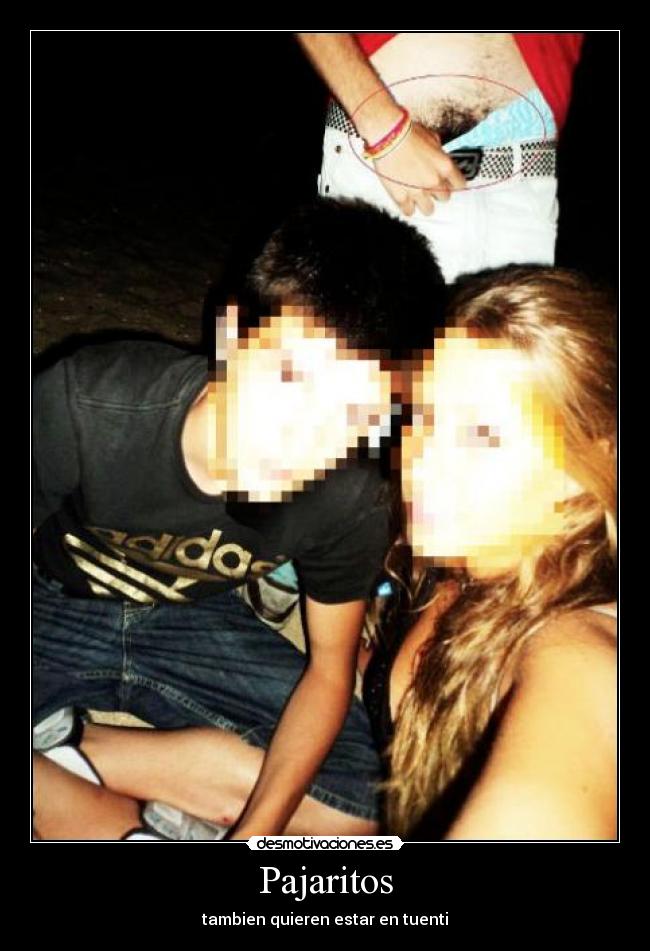 Pajaritos - 