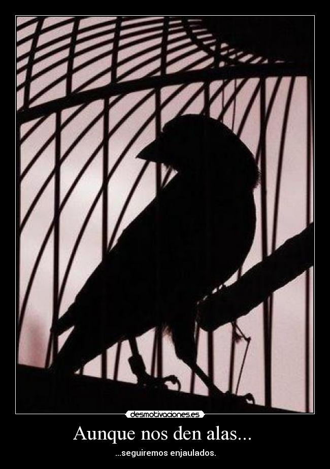 Aunque nos den alas... -