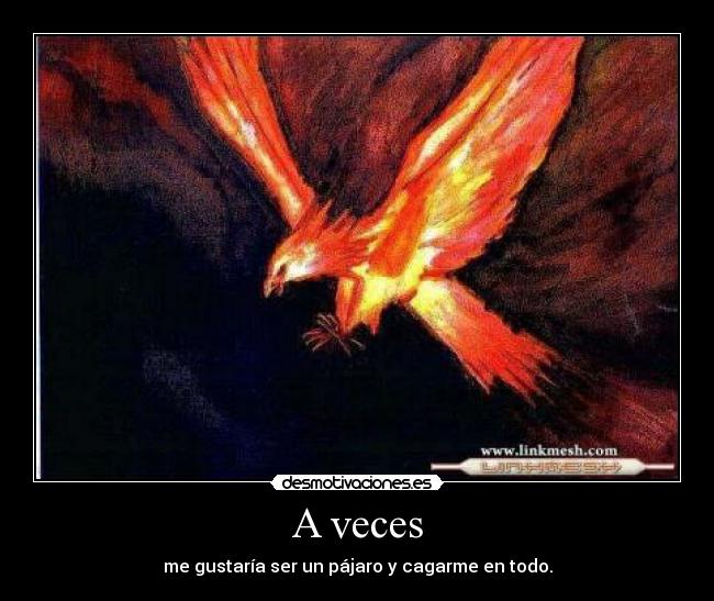 A veces -