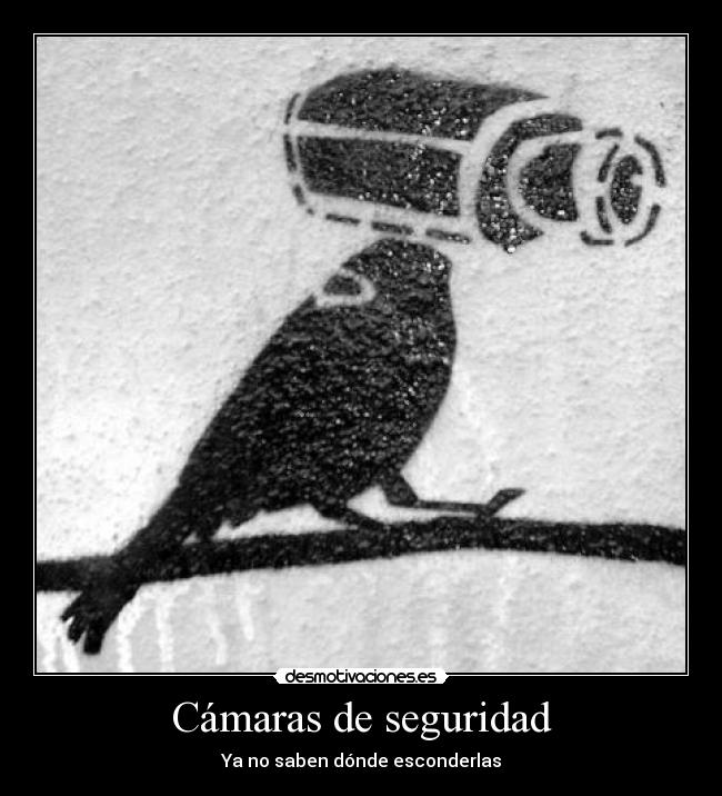 carteles kyo_13 desmotivaciones