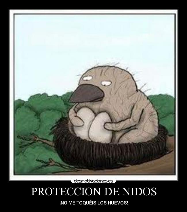 PROTECCION DE NIDOS - ¡NO ME TOQUÉIS LOS HUEVOS!