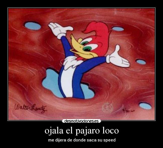 carteles ojala desmotivaciones