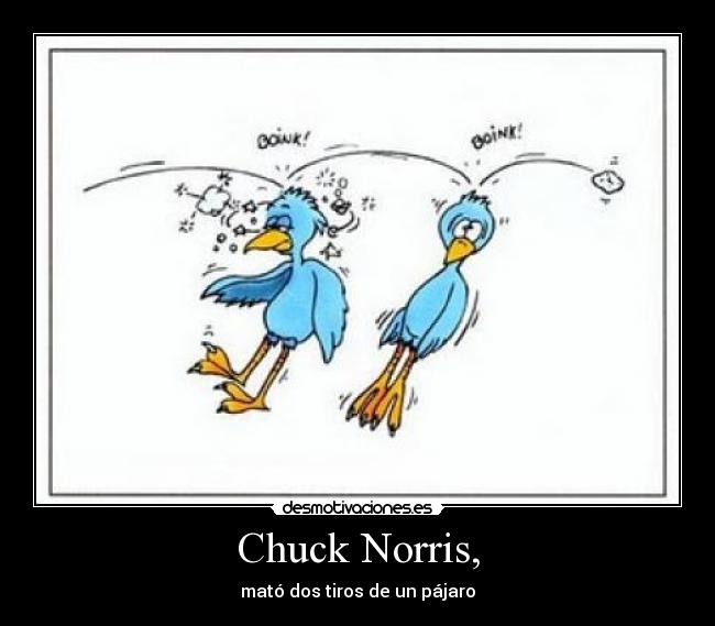 Chuck Norris, - mató dos tiros de un pájaro
