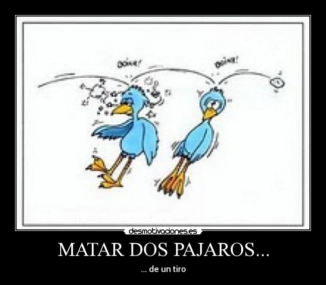 MATAR DOS PAJAROS... - ... de un tiro