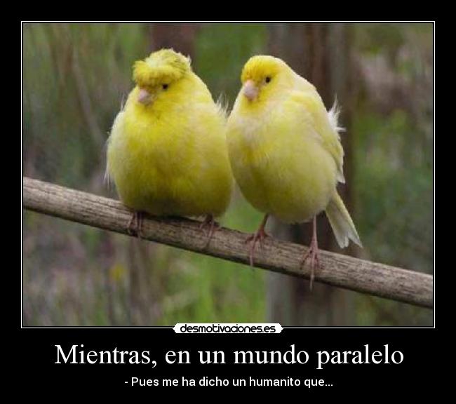 Mientras, en un mundo paralelo -