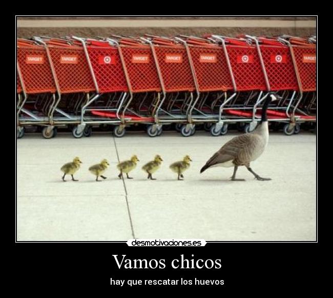 Vamos chicos - hay que rescatar los huevos