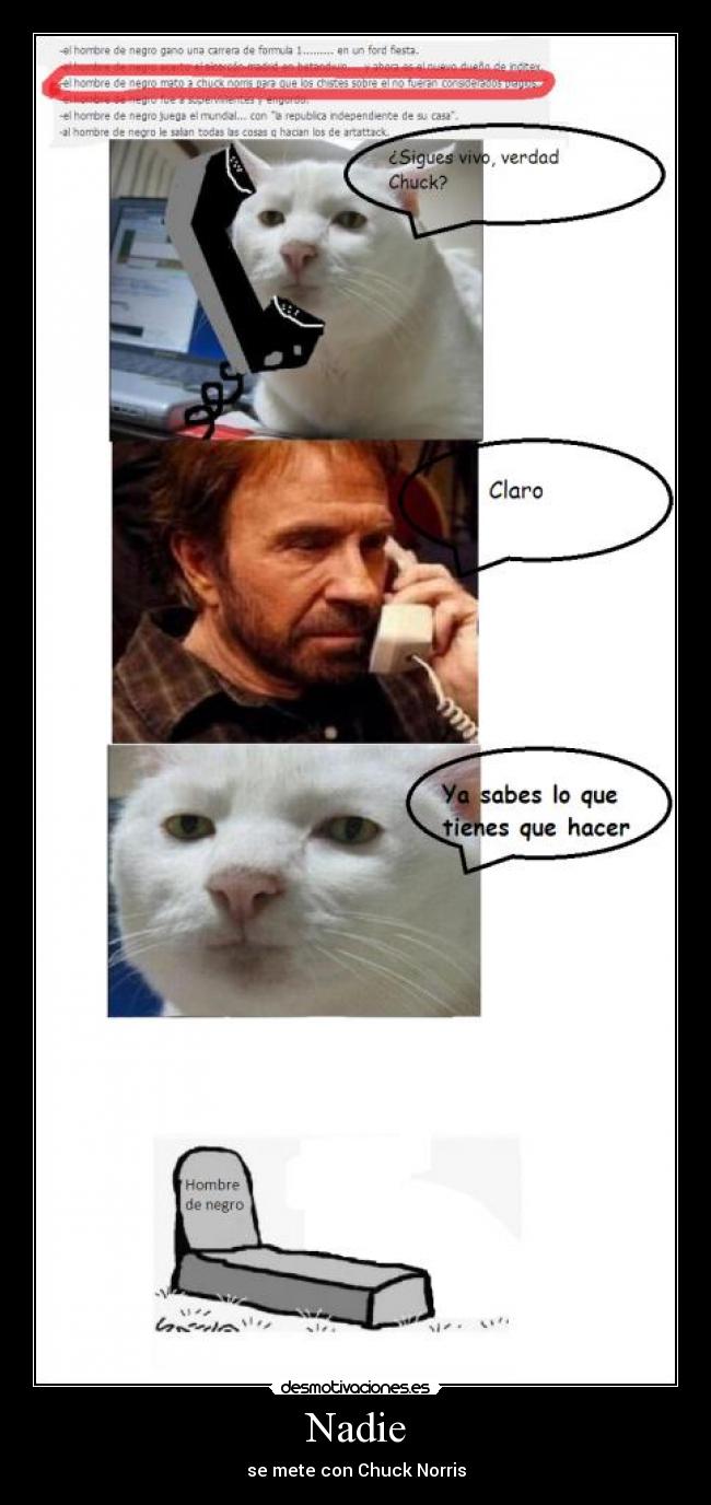 Nadie - se mete con Chuck Norris