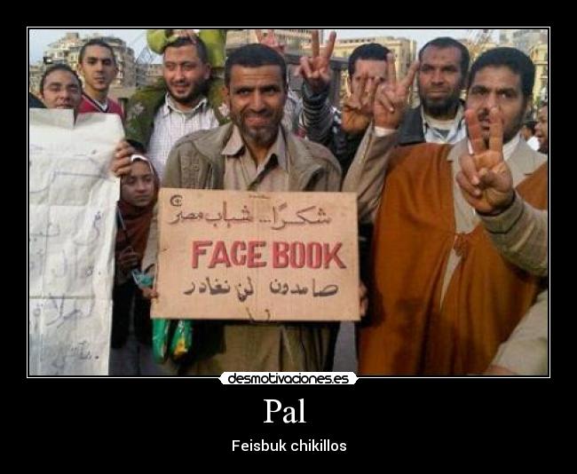 Pal - Feisbuk chikillos