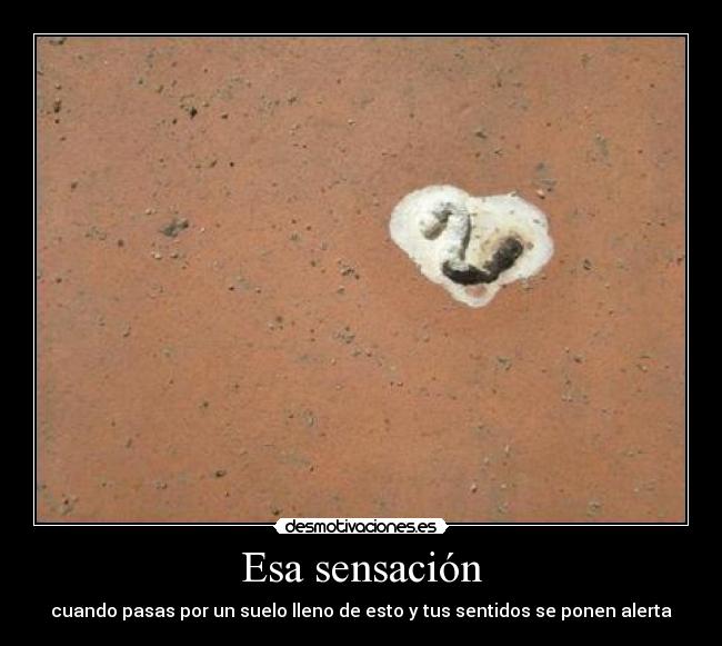 Esa sensación - cuando pasas por un suelo lleno de esto y tus sentidos se ponen alerta