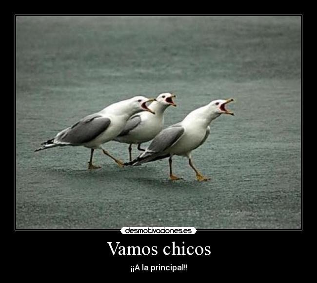 Vamos chicos - ¡¡A la principal!!