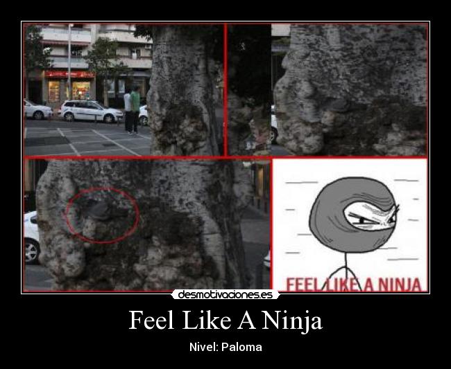 Feel Like A Ninja - Nivel: Paloma