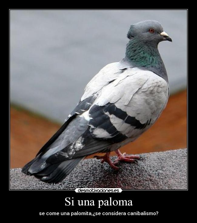 Si una paloma - se come una palomita,¿se considera canibalismo?