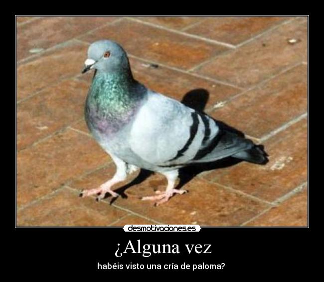 ¿Alguna vez -