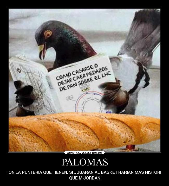 PALOMAS - CON LA PUNTERIA QUE TIENEN, SI JUGARAN AL BASKET HARIAN MAS HISTORIA
QUE M.JORDAN