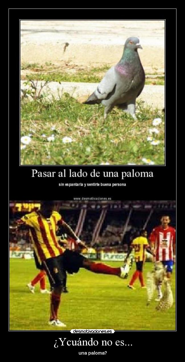 ¿Ycuándo no es... - una paloma?